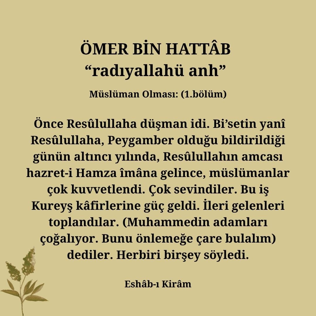 Ömer bin Hattab (3)